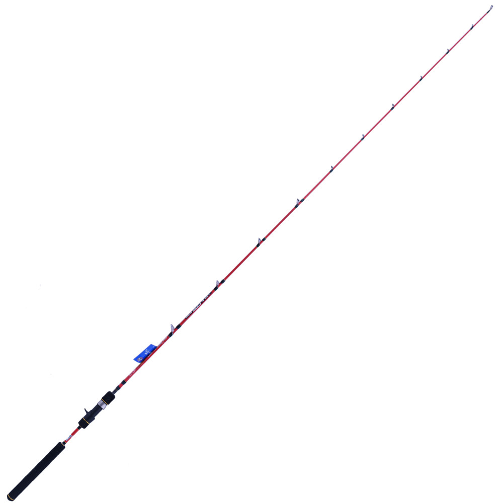 X-PARAGON Ryobi Salatwater Light Jigging Baitcasting Rod FUEGO XP LJ200