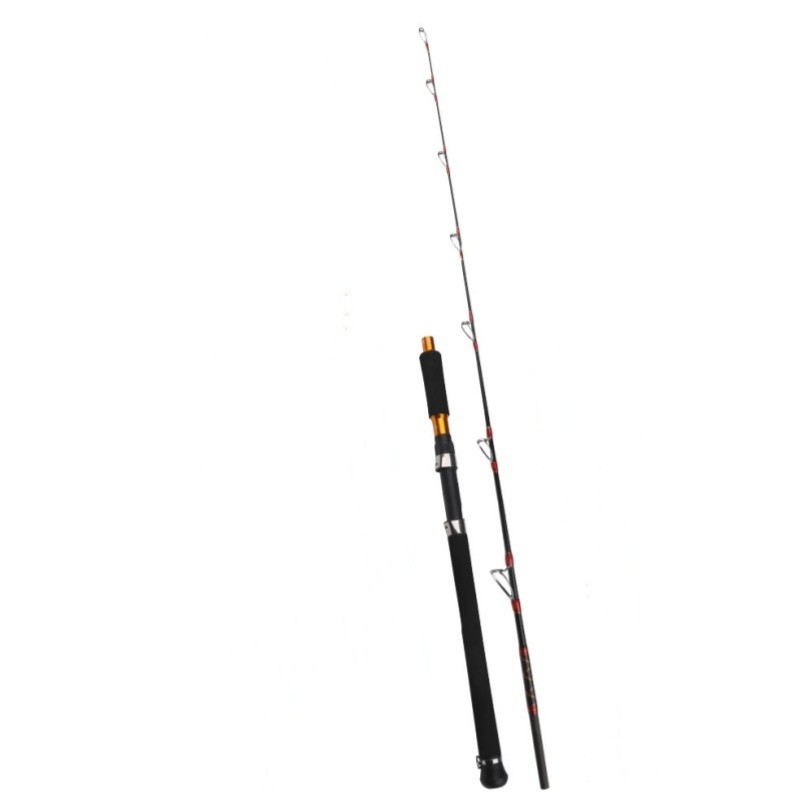 Fishing Rod 2 Section Slow Jigging Rod Spinning Casting Rod Lure 50-150g Carbon