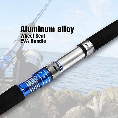 2-Piece Saltwater Spinning Fishing Rod Offshore Graphite Portable Fishing Rod