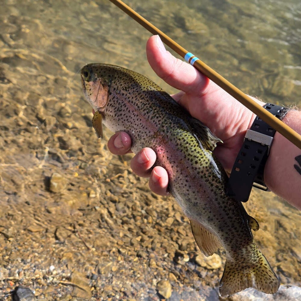 Wasatch Snub Nose IV 4-Zoom Tenkara Rod 4’0″-5’6″ Ultra-Compact w/ Rod Tube
