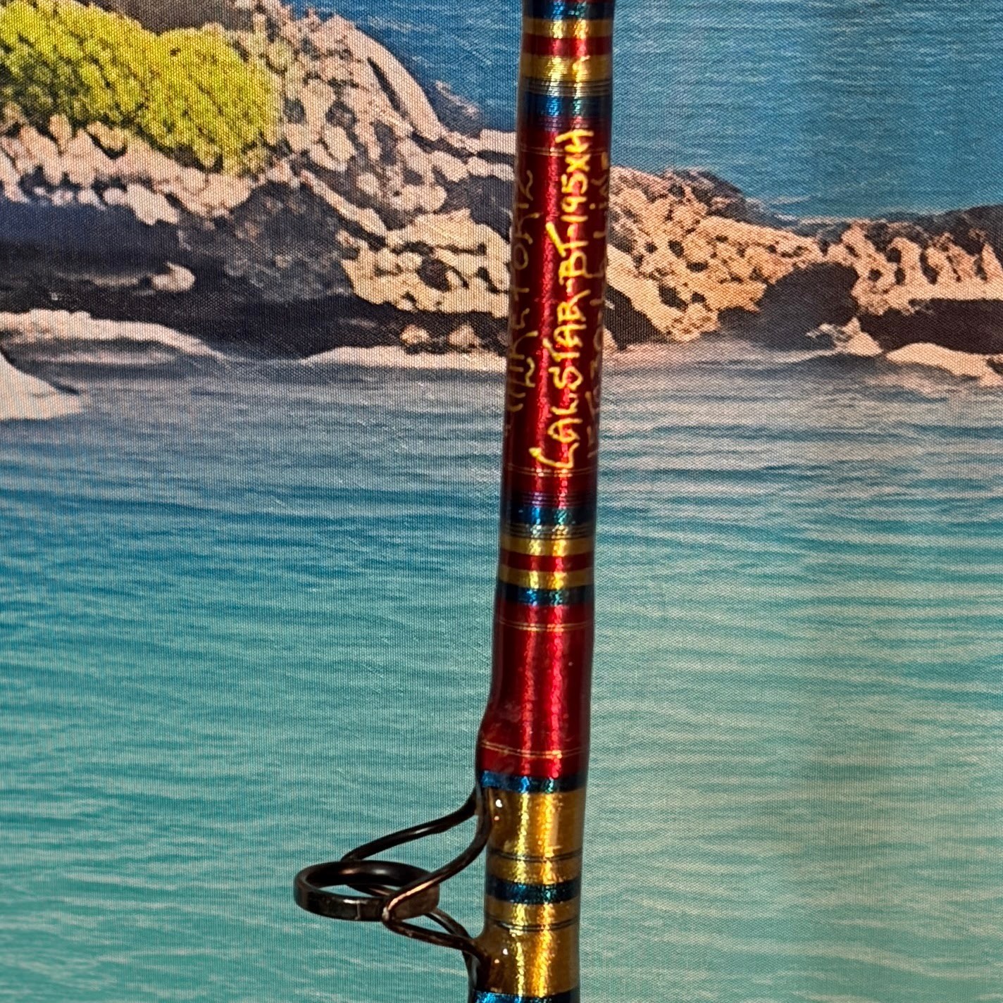 CALSTAR BT-195XH Custom by LONGFIN 15-30lb Saltwater Rod AFTCO-2M 6′ Red