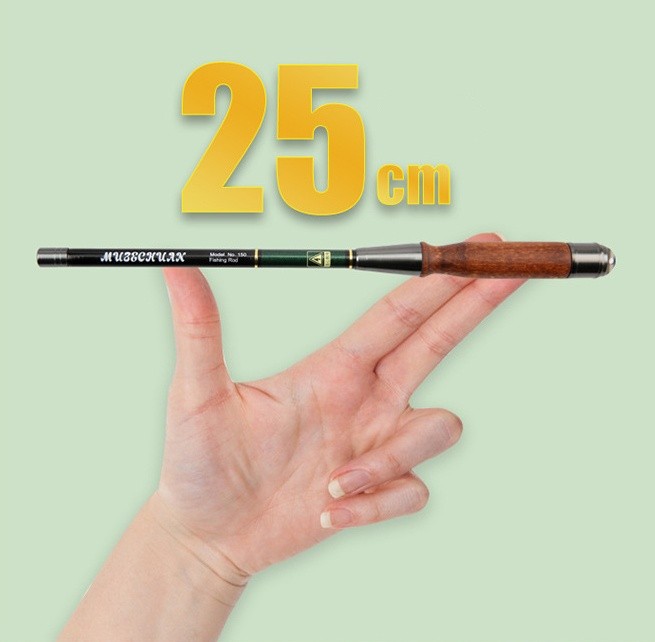 Portable 25cm Mini Fishing Rod for Outdoor Activities Lightweight Carbon Fiber