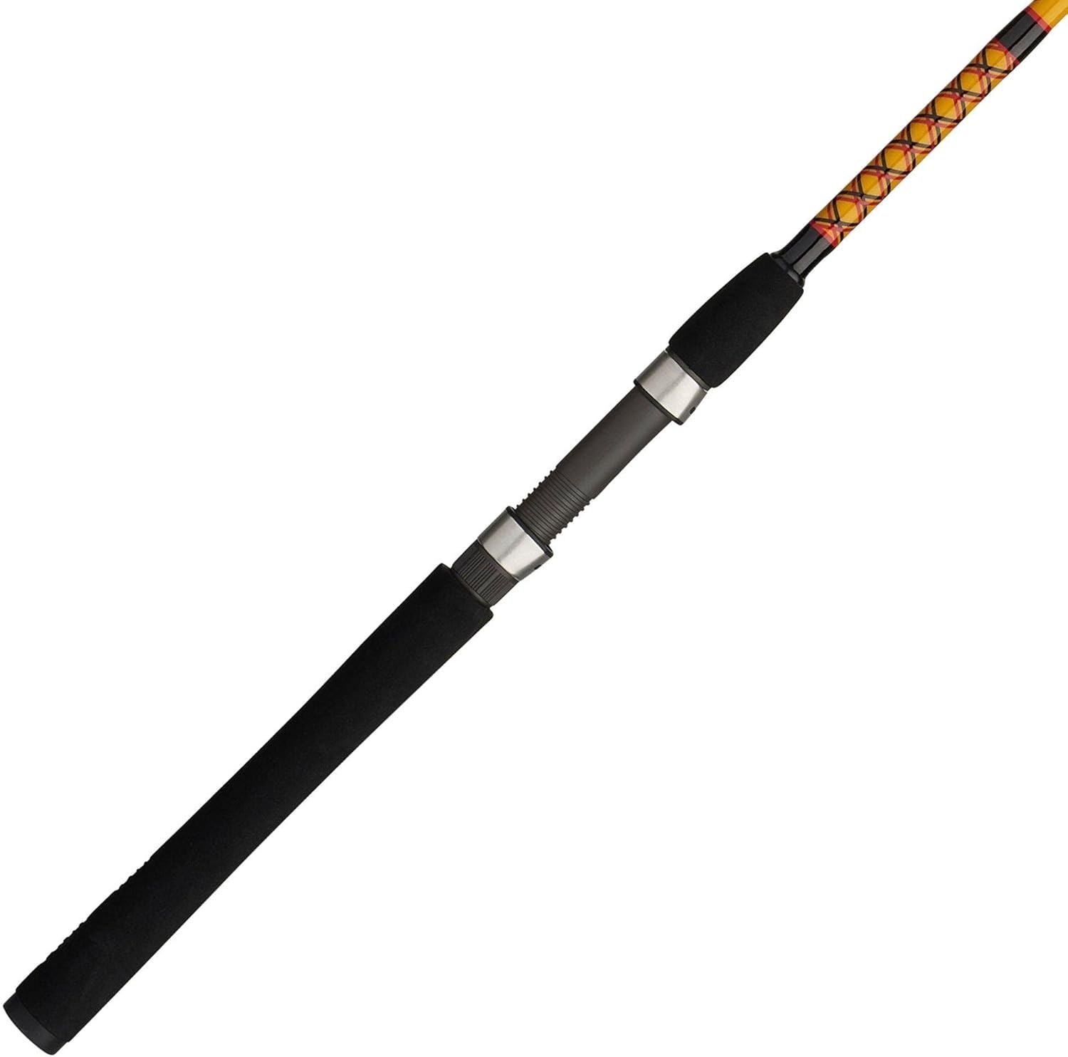 Bigwater Spinning Fishing Rod