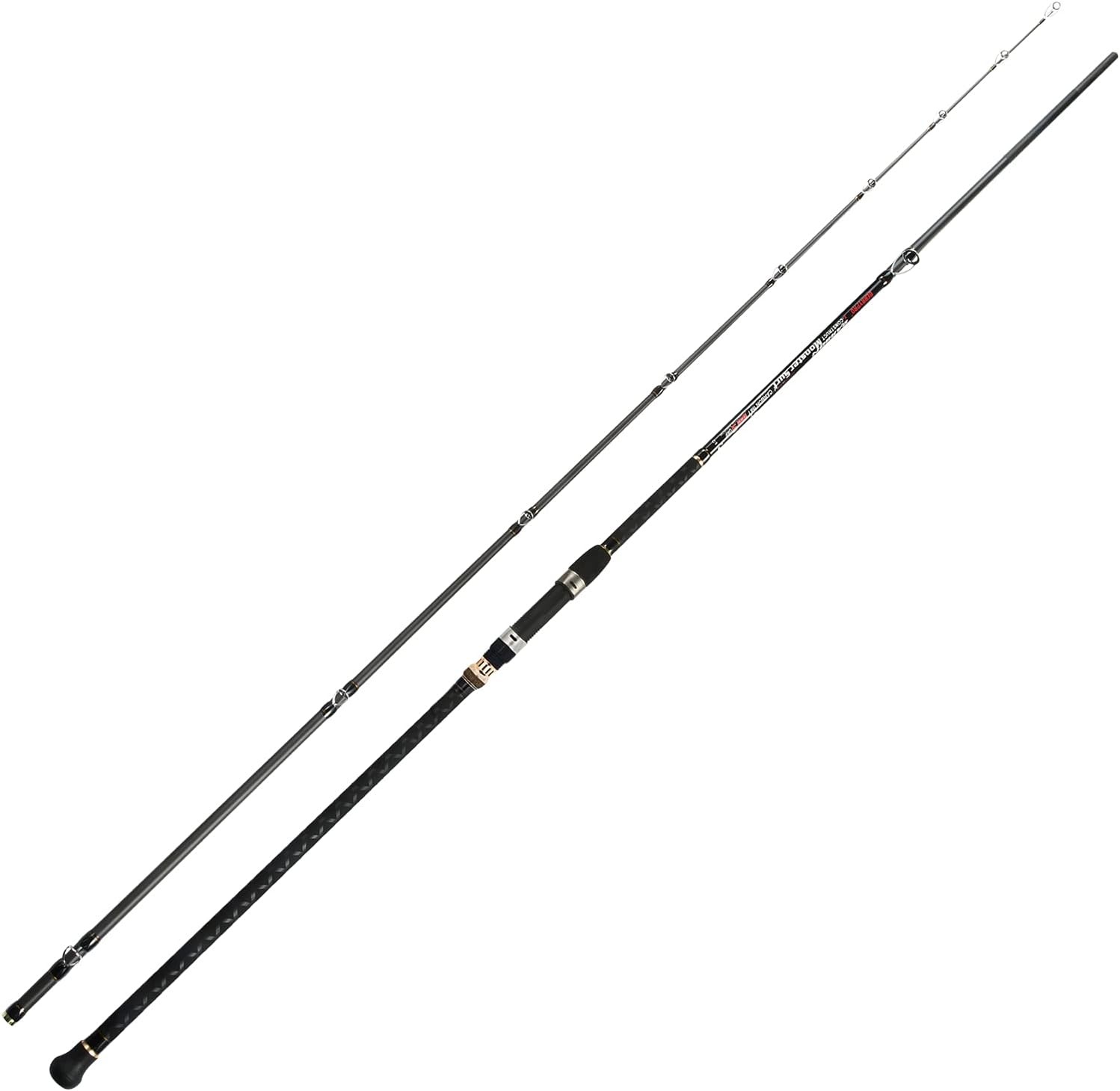 BERRYPRO Surf Spinning Fishing Rod Graphite Spinning Rod