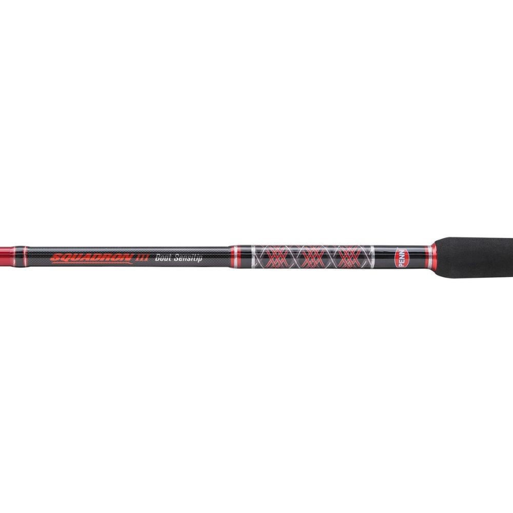 PENN Bottom Fishing Rod SQUADRON III Boat Sensitip 3.00m/300g