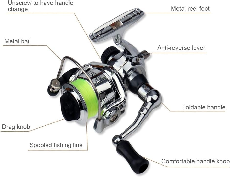 Compact 39-Inch Fishing Pole with Comfortable EVA Handle & Smooth Spinning Reel