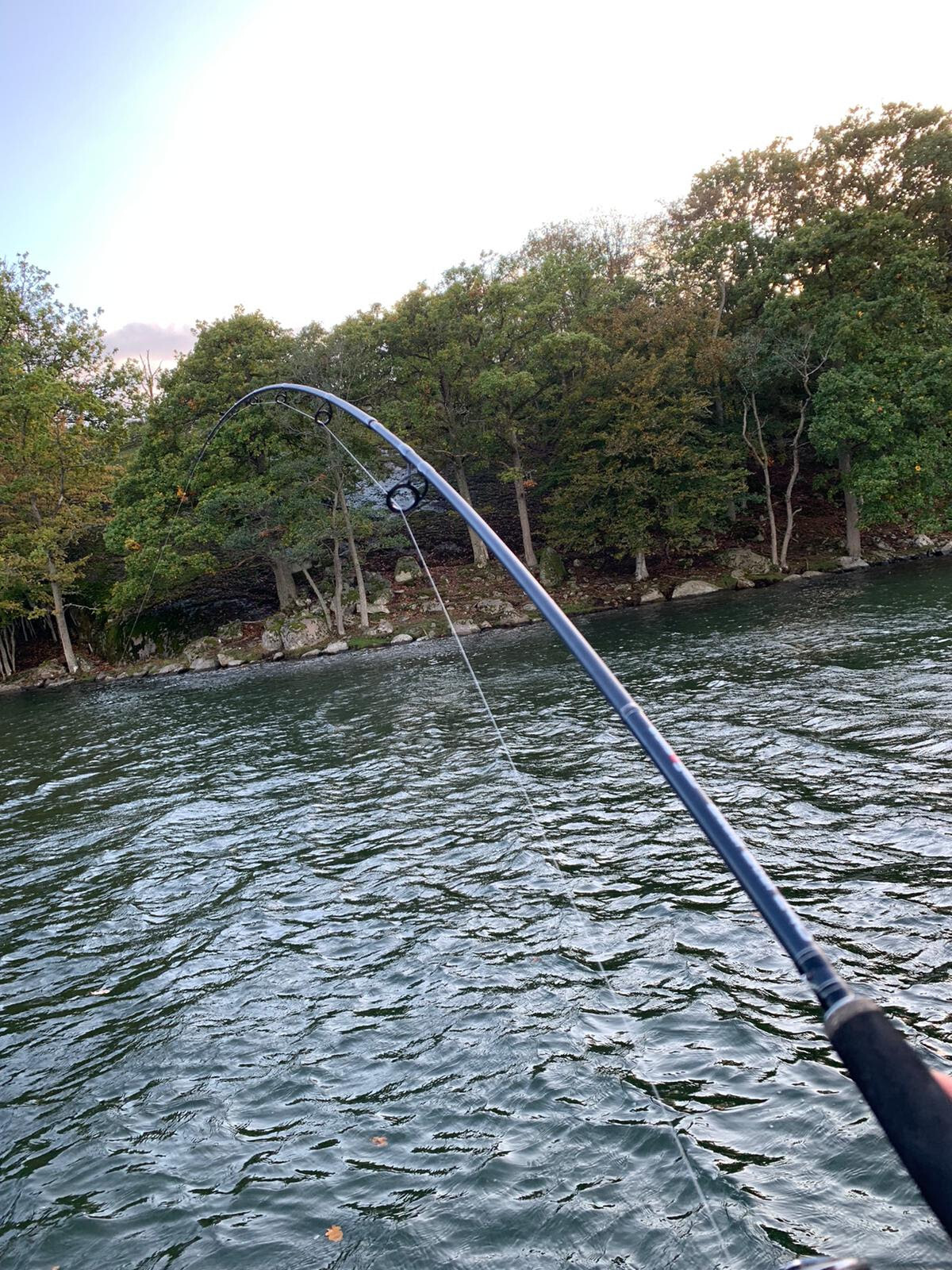 Bullseye Beast Boat Spinning Rod 2.40m 45-90g Pike Rod Musky Pike Rod