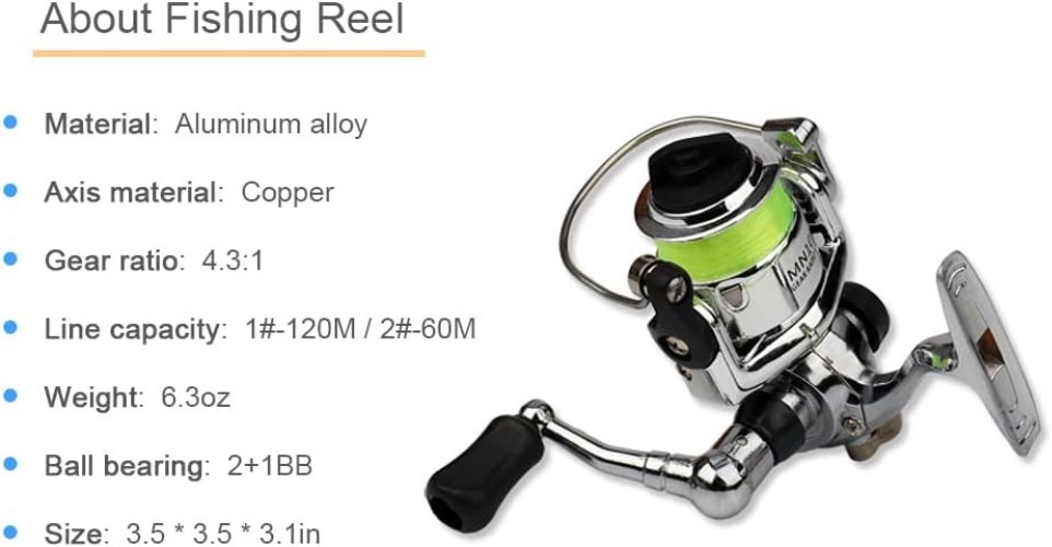 Compact 39-Inch Fishing Pole with Comfortable EVA Handle & Smooth Spinning Reel