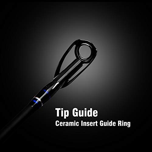 1/4-Piece Fishing Rod – Saltwater Trolling Rod – Cat Catfish – 1 Piece 40-80lb