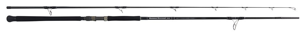 Ripple Fisher Runner Exceed 103H Shore Jigging & Plugging Rod