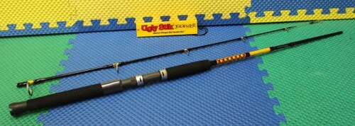 Ugly Stik Bigwater 6′ 6″‘ Spin Rod Medium 2-Piece BW1020S662 M 1539201