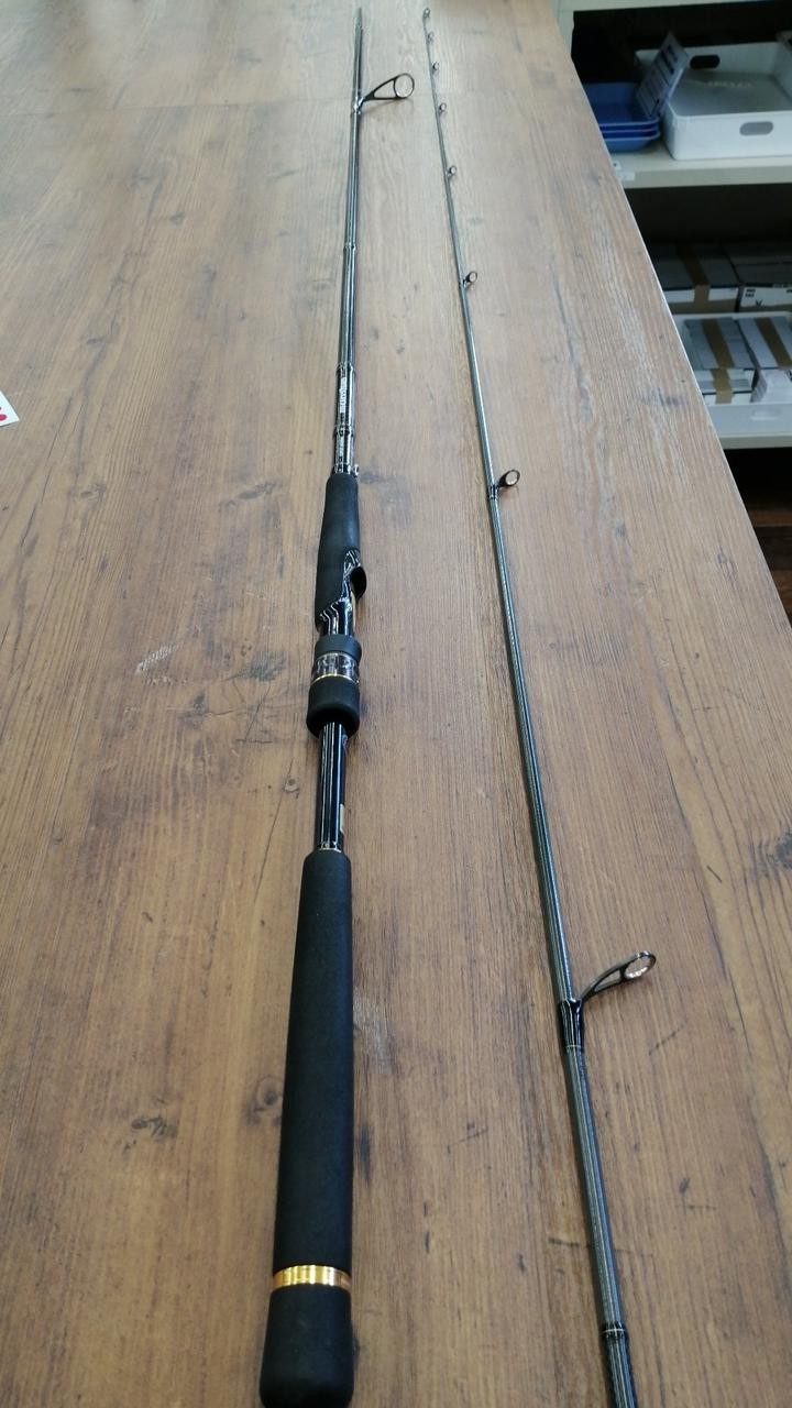 Daiwa Morethan Ex Ags 98Ml Sea Bass Rod