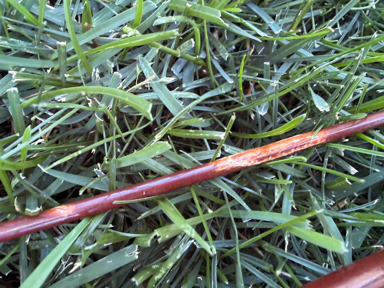 Vintage Fenwick FF85 Feralite Fiberglass Fly Rod broken tip