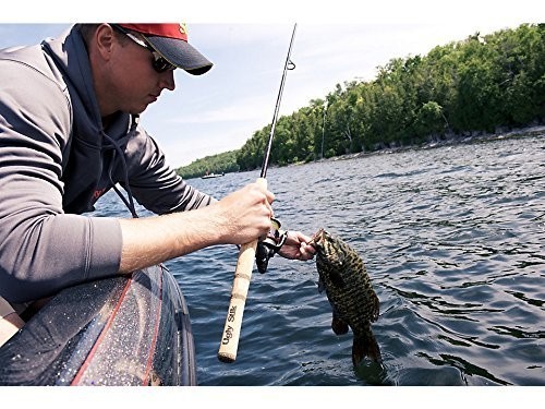 Ugly Stik 6’6” Elite Spinning Rod, Two Piece Spinning Rod, 6-14lb Line Rating…