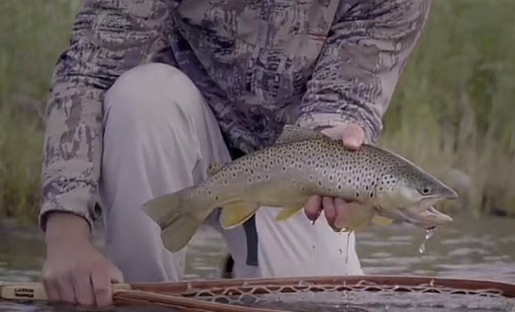 Cattanach 6’0″ ~ 2 wt / ZHUSRODS Flame Bamboo Fly Rods / Fly Fishing Rods