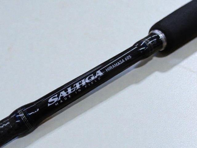 Daiwa Saltiga Coastal SG Yellowtail 60S-F Lure Amberjack Fishing JDM Excellent