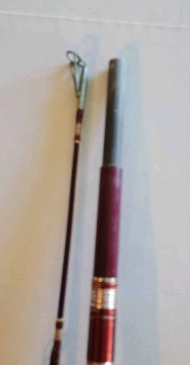 Berkley Cherrywood 2-Piece Casting Fishing Rod