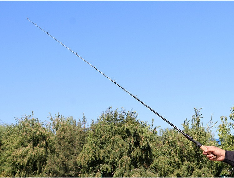 1.68M/5.51FT Fishing Rod Portable Fishing Pole Carbon Fiber Spinning/Casting Rod