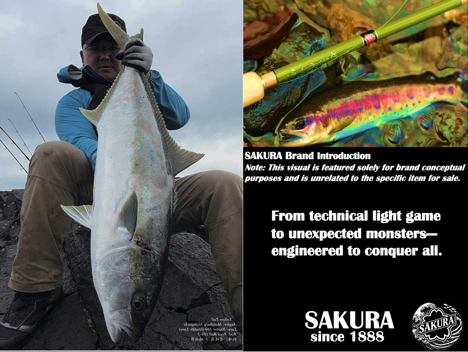 Spinning Rod From Japan Ajing Light Game All Saltwater Fish Carbon SAKURA pole