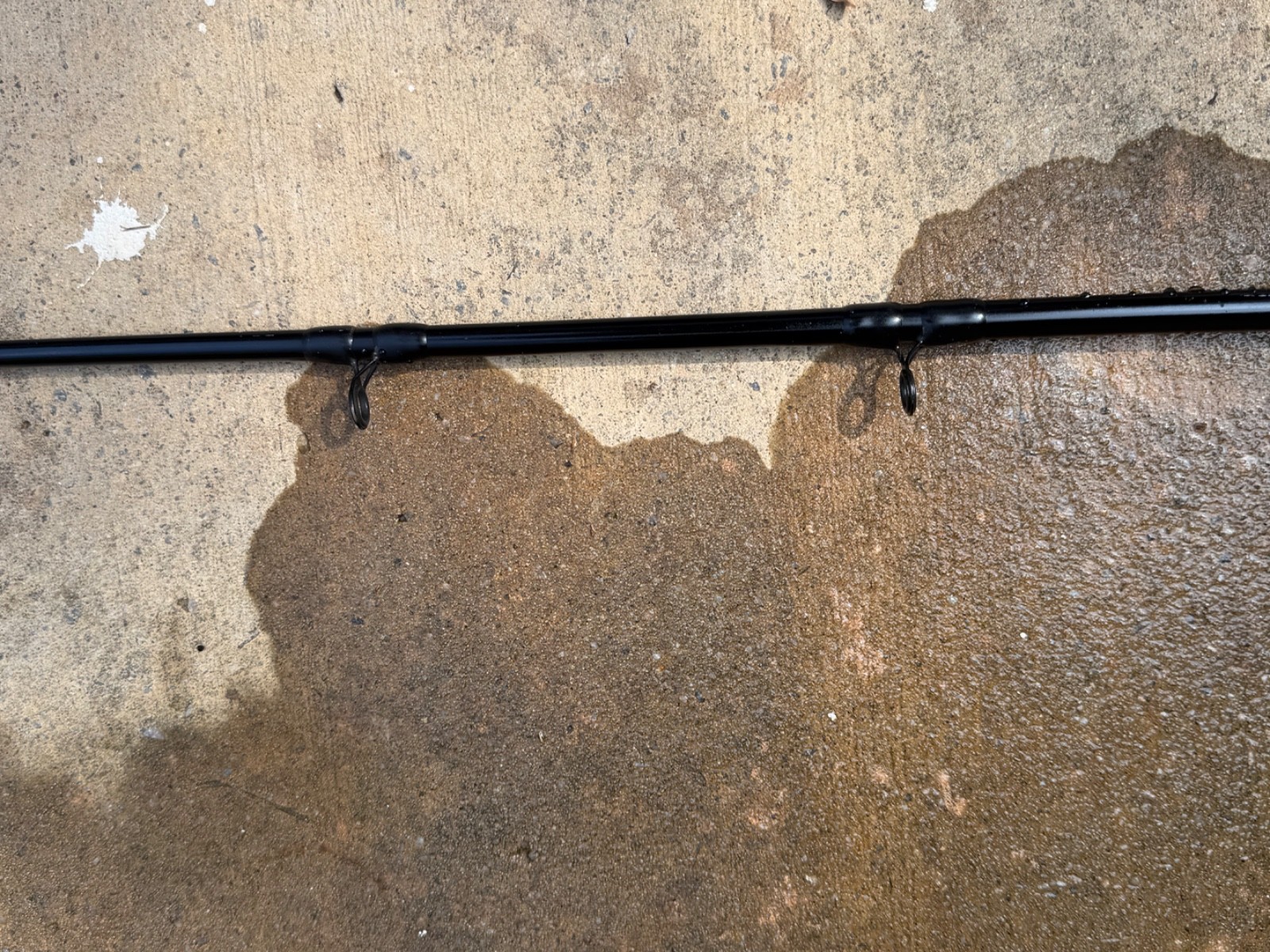 Bass Pro Shops CATMAXX Catfishing Rod, 8′ Excellent Condition, Bargain