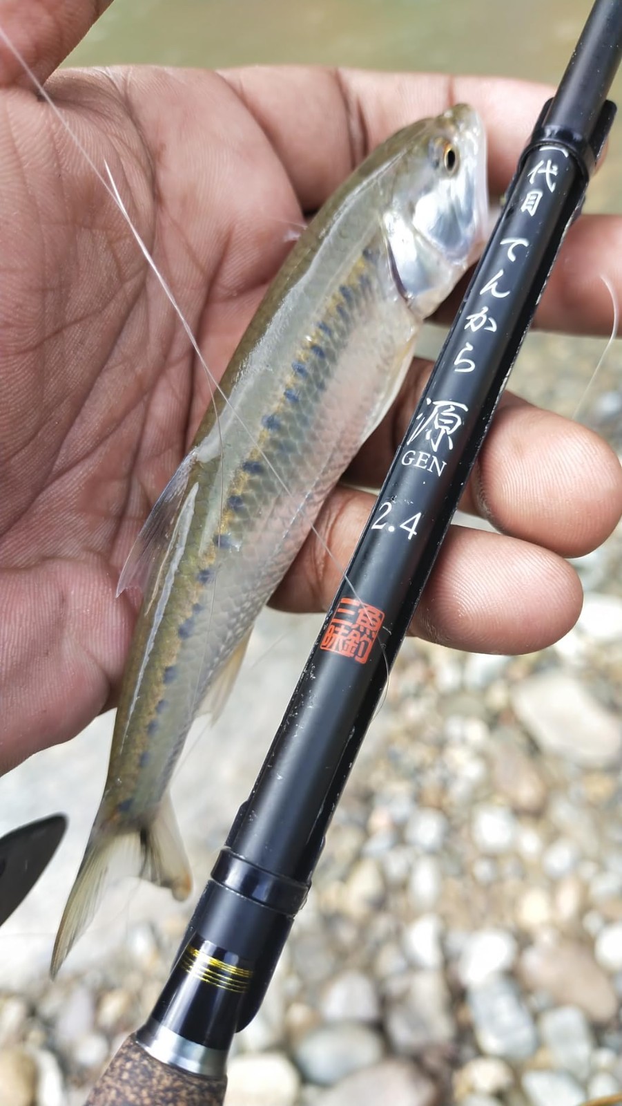 Uozuri Zanmai Nidaime Tenkara Gen 240 2.4m / 7.9ft 7:3 Rod From Japan