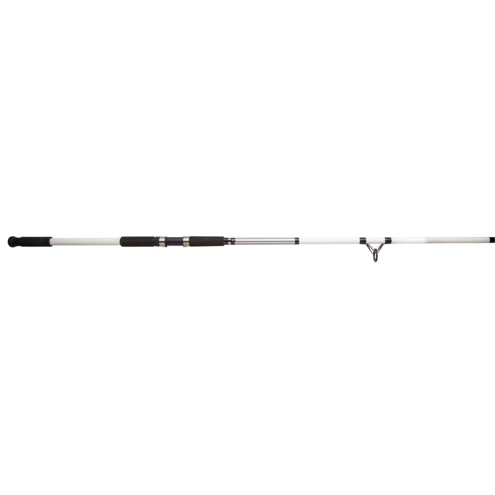 Bigwater Spinning Rod, 12′ Medium Heavy Fishing Rod, 2 Piece