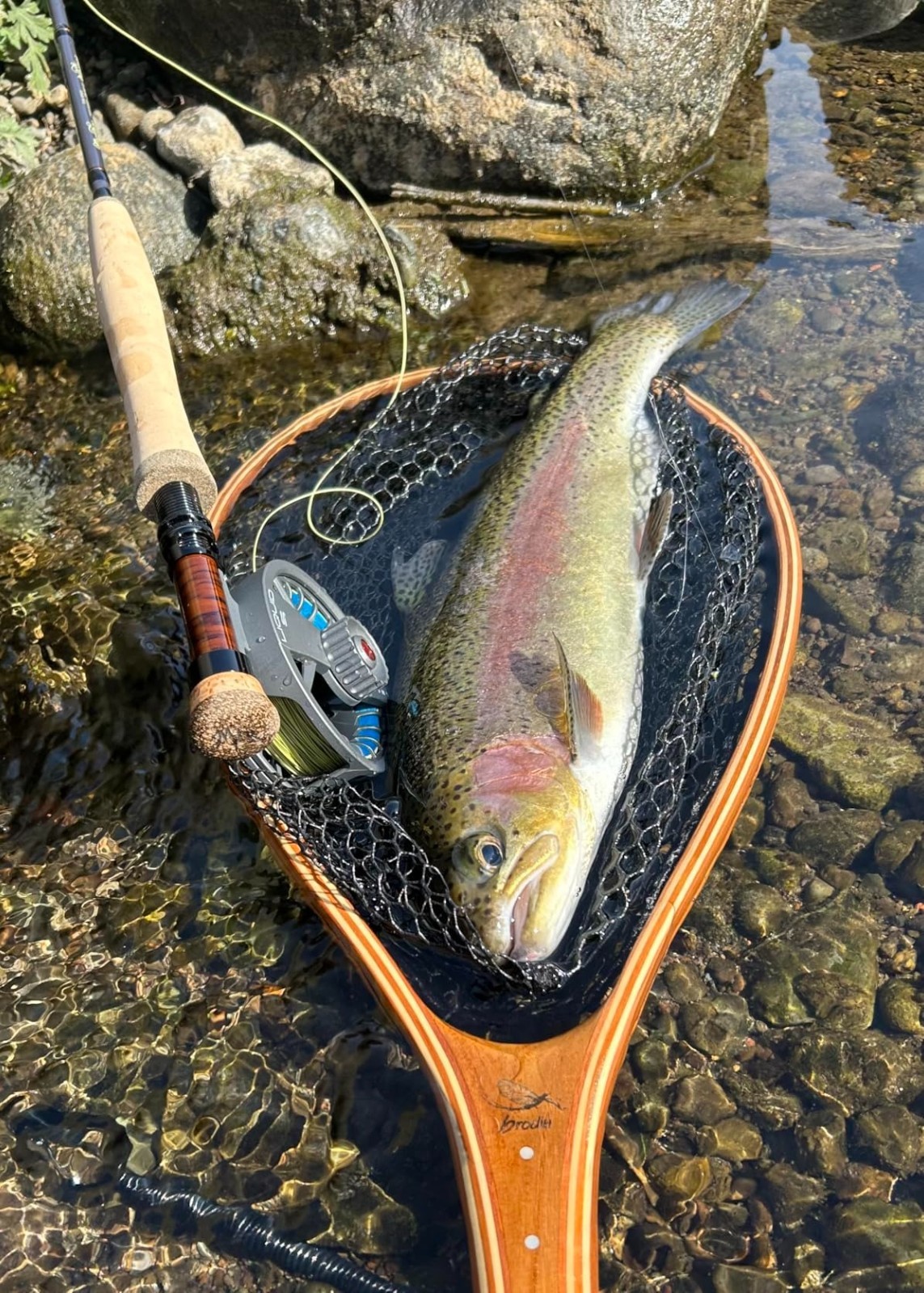 Fast Action Fly Fishing Rod 8WT 9ft Carbon Fiber Travel Case Multi Series Trout