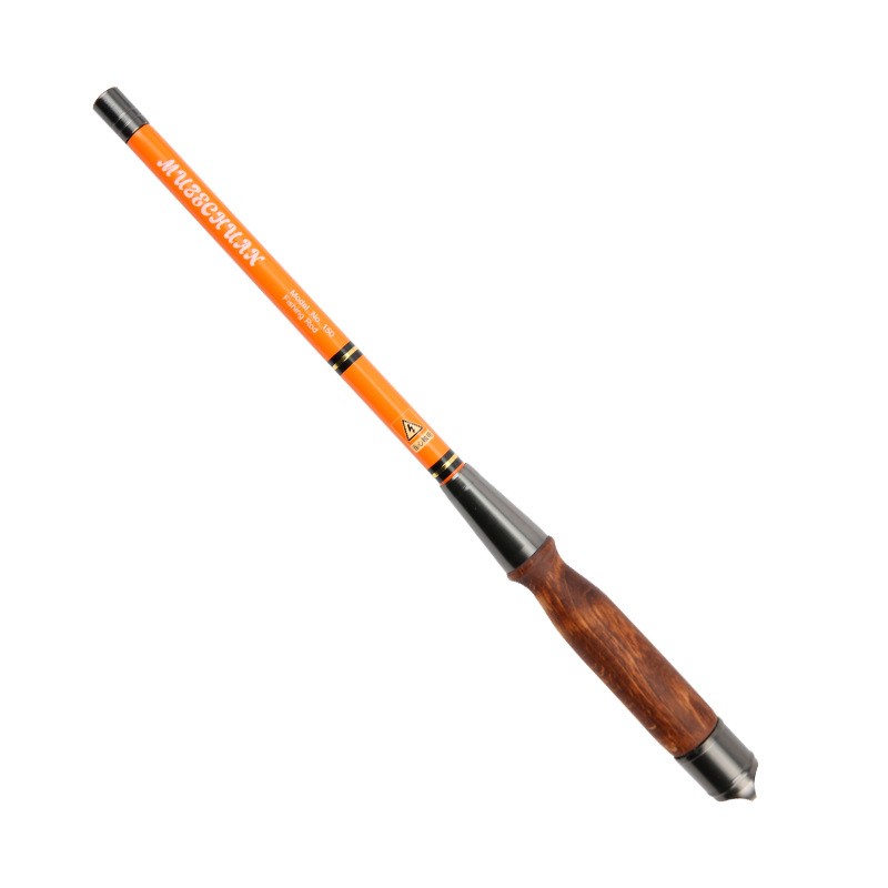 Portable 25cm Mini Fishing Rod for Outdoor Activities Lightweight Carbon Fiber