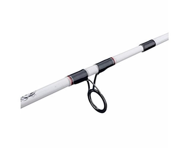 Catfish Special Spinning Fishing Rod