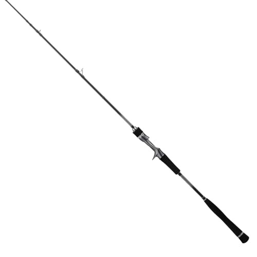 Tailwalk 25 Tai Game SD C67M/LSL Baitcasting Rod