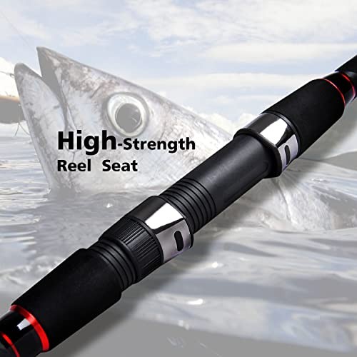 Surf Spinning Fishing Rod 2-Piece/4-Piece Graphite Travel Fishing Rod