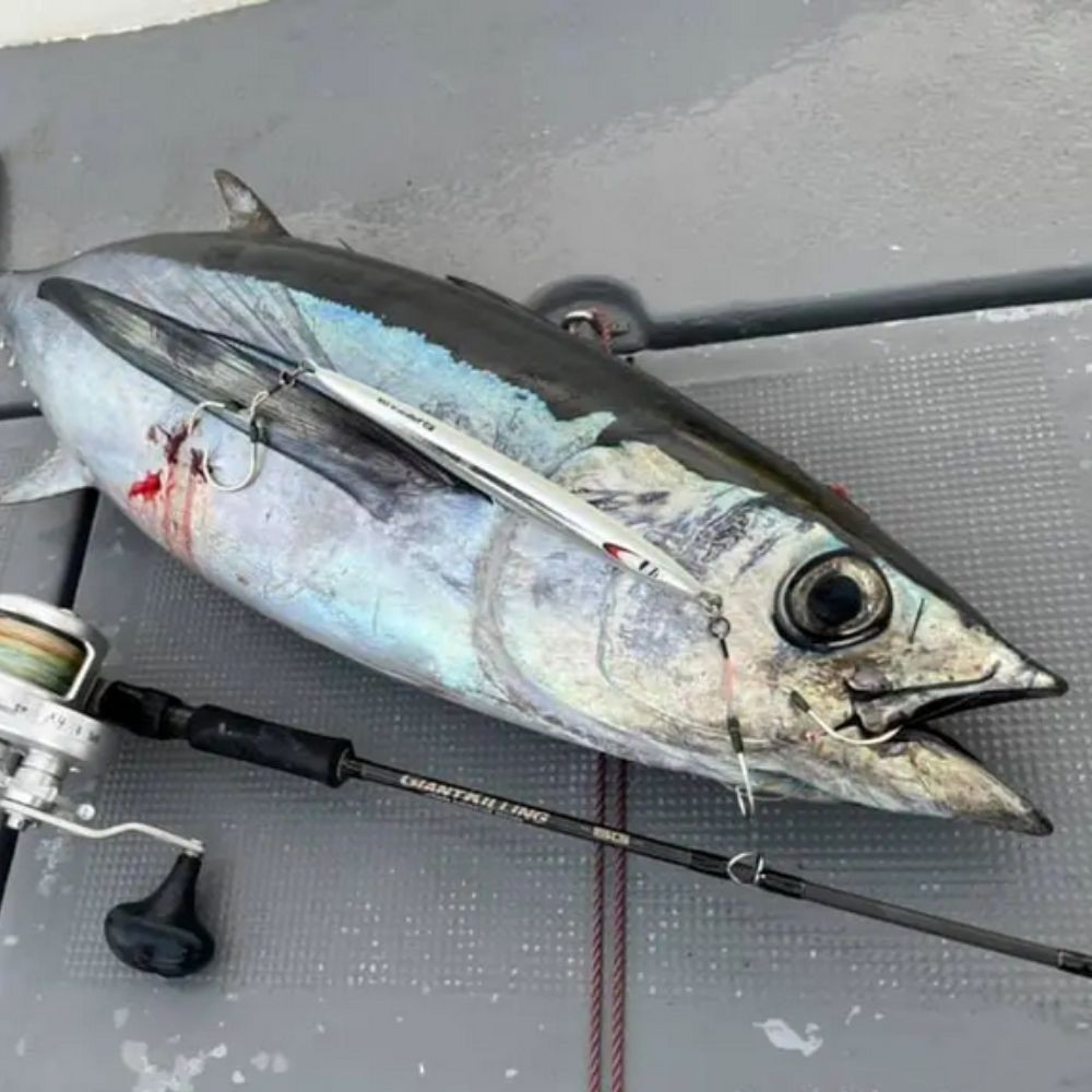 MAJOR CRAFT Jigging Baitcasting Model Rod GIANT KILLING 5G GK5-B60MH