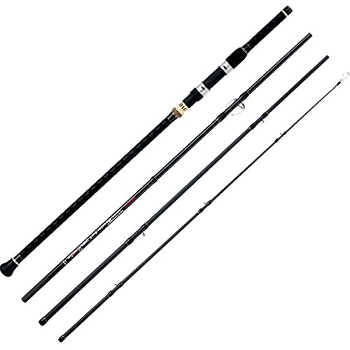 Surf Spinning Fishing Rod Graphite Spinning Rod