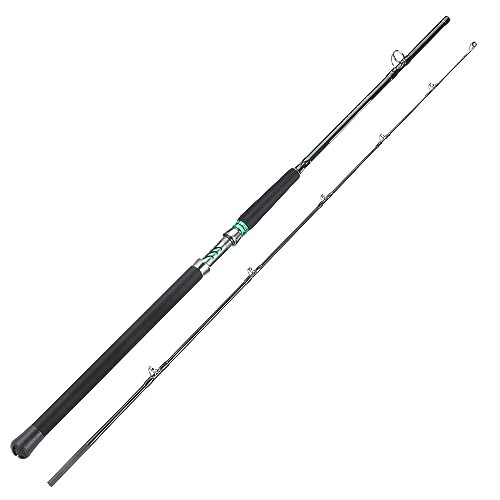 Spinning & Casting Catfish Rod – 2 Piece Medium Heavy Portable Travel Catfish
