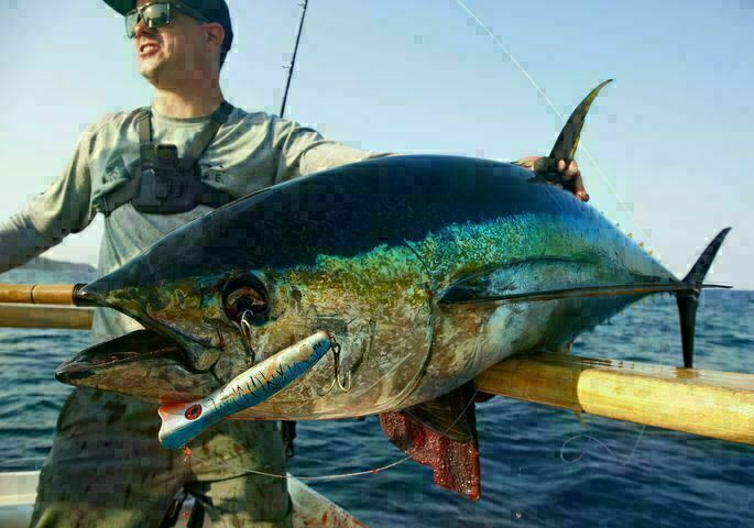 HAMACHI 7’6 XOS GT’n’Doggie Exp 50 – 100lb Japanese spin popper fishing rod pole