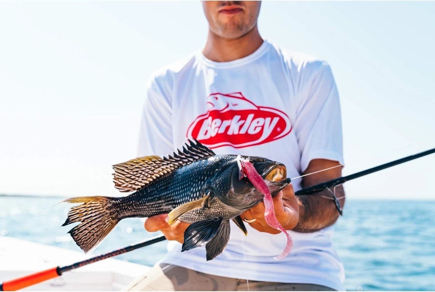 Lightning Rod Spinning Fishing Rod