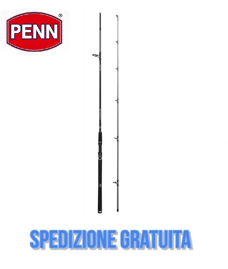 Penn Squadron IV SW Spin Spinning Rod Carbon Fiber, 2.40 gr 15/40
