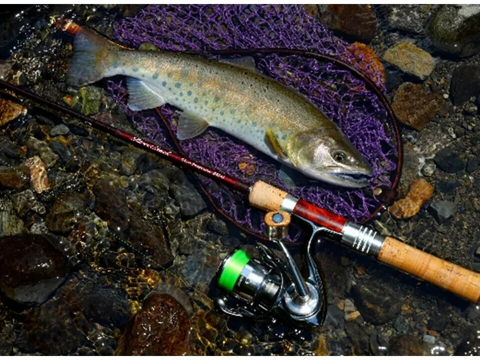 DAIWA SILVER CREEK GLASS PROGRESSIVE 46LB-G Trout Salmon rod from Japan