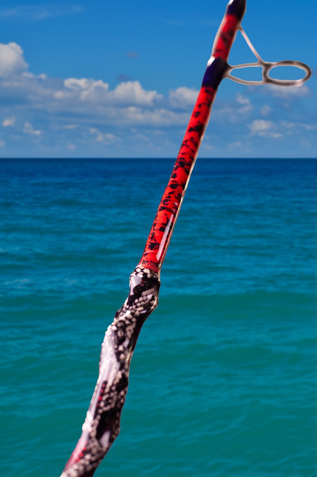 Custom Python Skin Fishing Rod with Real Snake Skin Grips and laminated to tip.