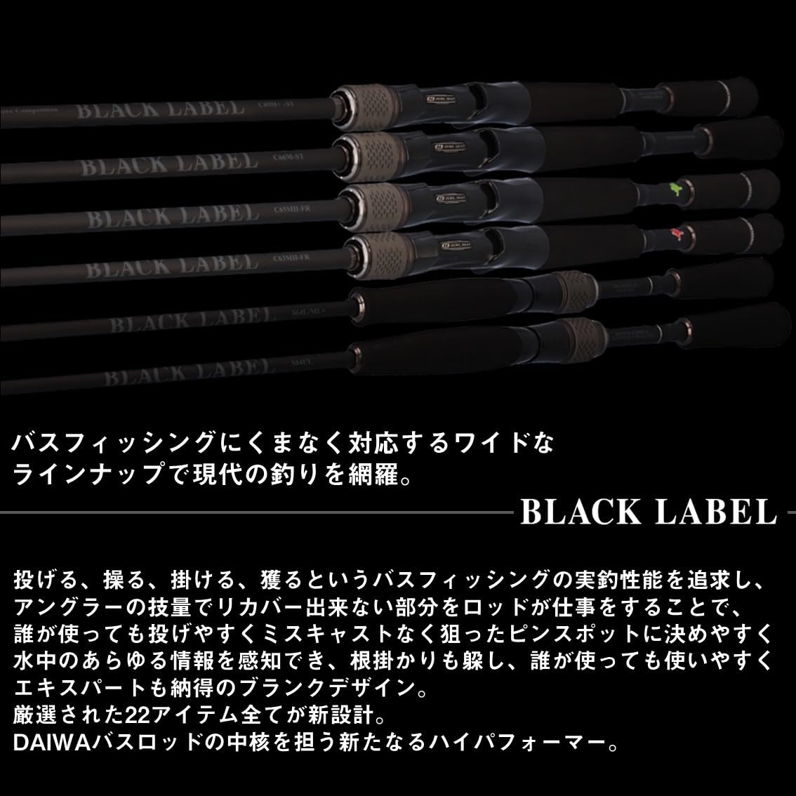 DAIWA Bass Rod Black Label SC S64L-ST