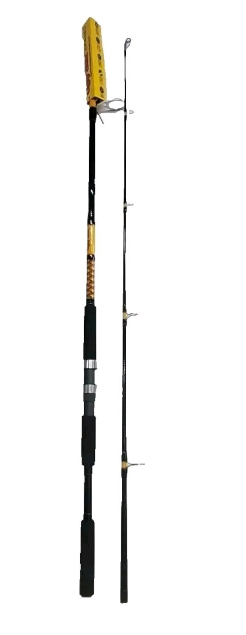 Ugly Stik Bigwater 10′ 🔥Spin Rod Medium Heavy 2-Piece Surf Beach, SHARK ROD❗️🔥