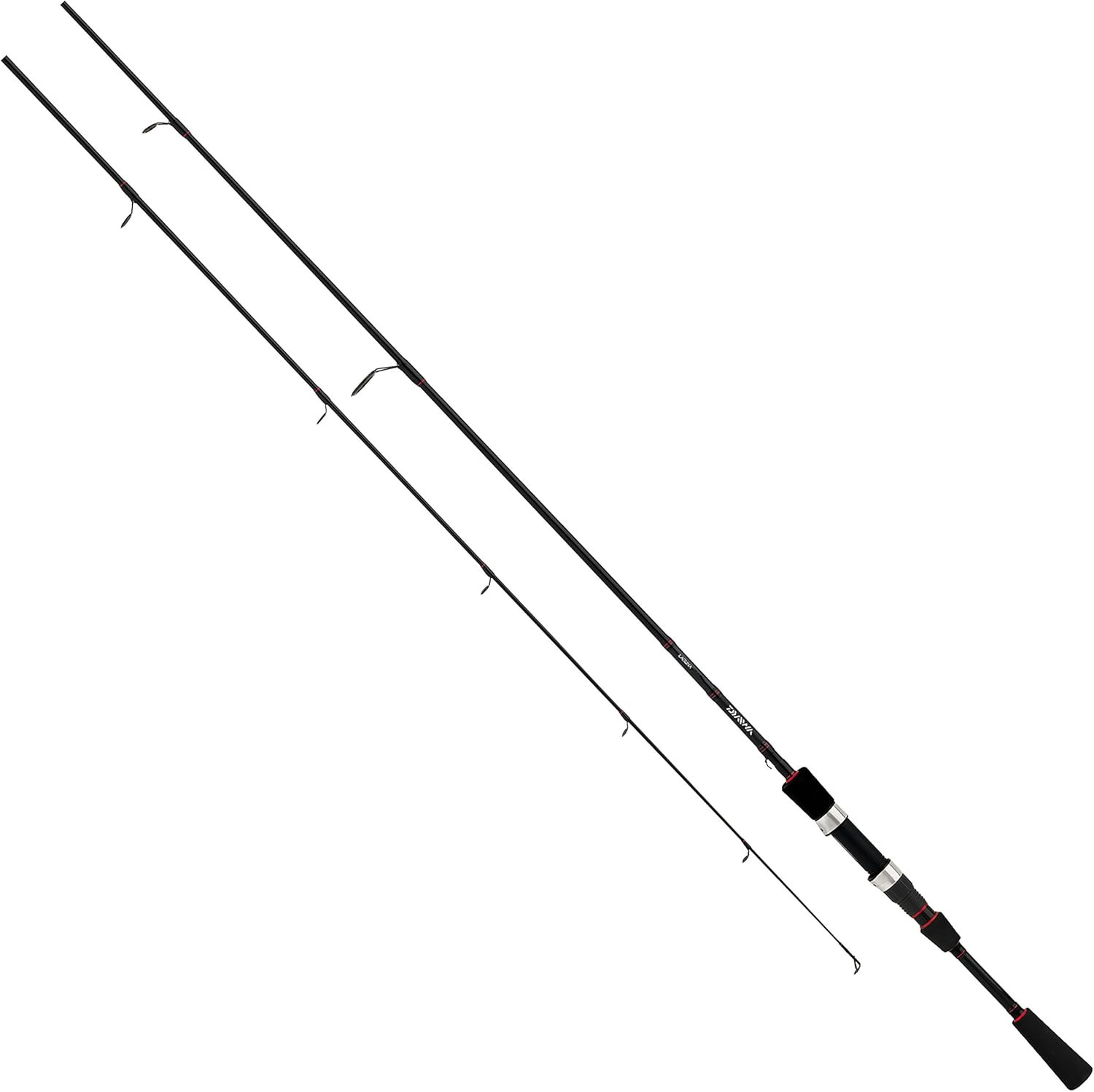 spinning Rod