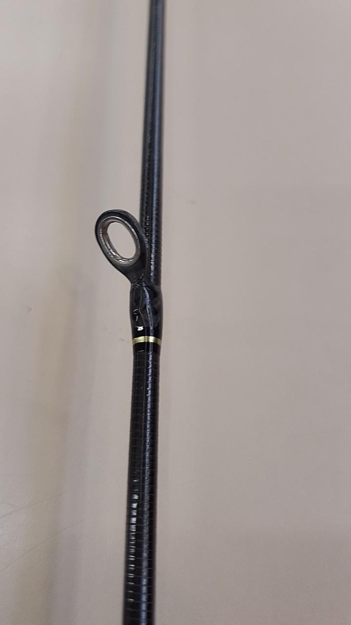 DAIWA 21 MORETHAN EX AGS 94LML 05800 Seabass Rod