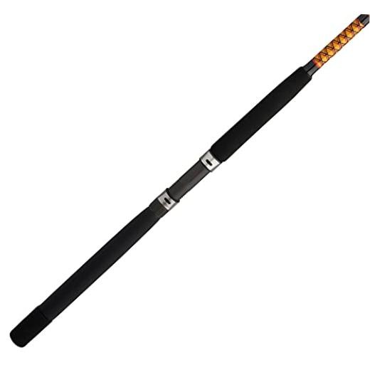 Bigwater Casting Fishing Rod