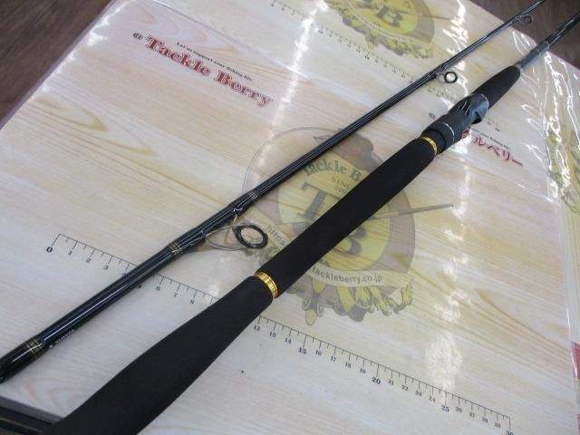 Daiwa Morethan MT98MHX Saltwater Rod Shore Used
