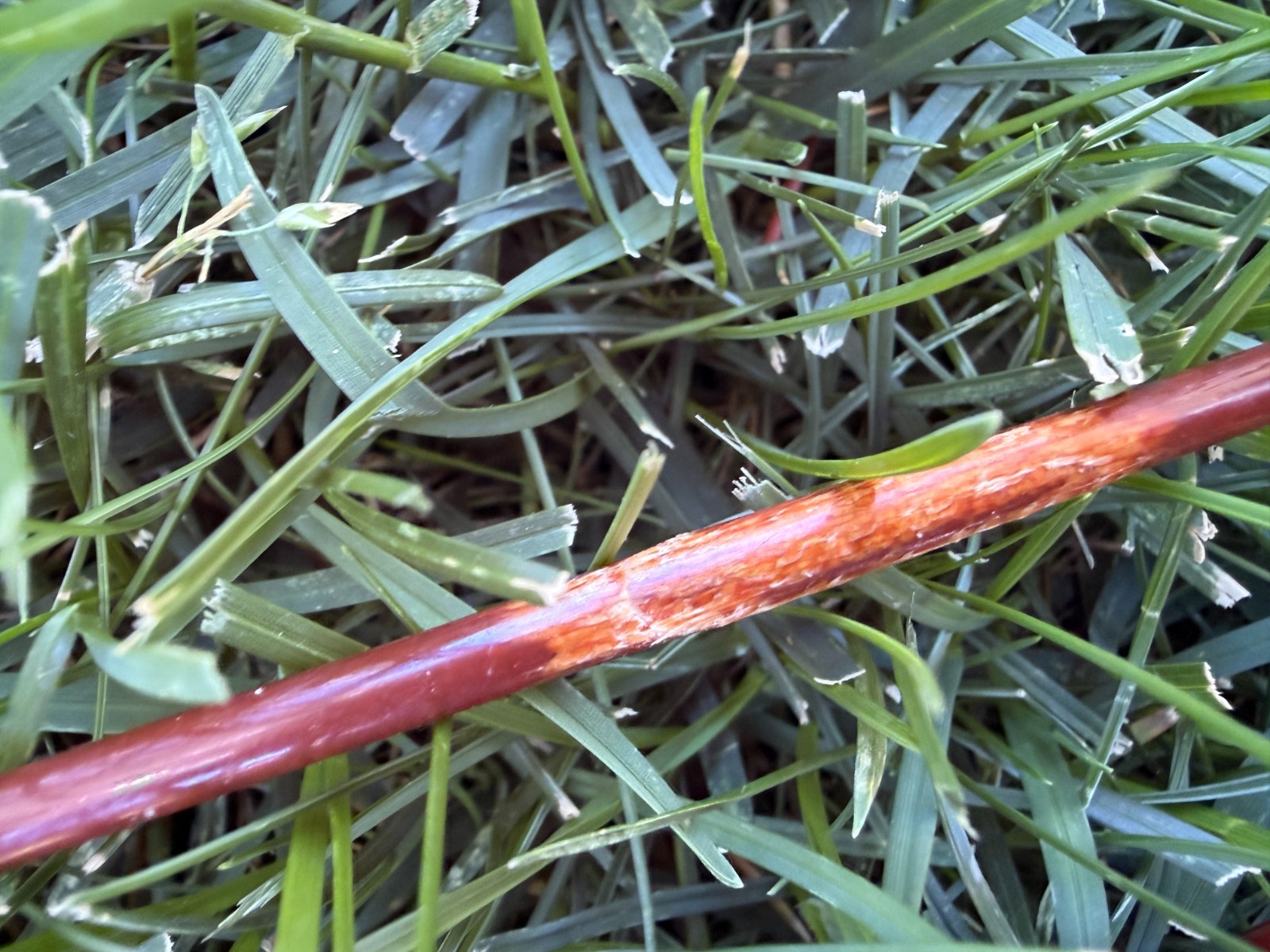 Vintage Fenwick FF85 Feralite Fiberglass Fly Rod broken tip