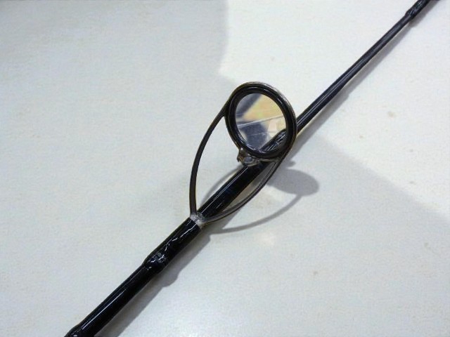 Daiwa Saltiga Coastal SG Yellowtail 60S-F Lure Amberjack Fishing JDM Excellent