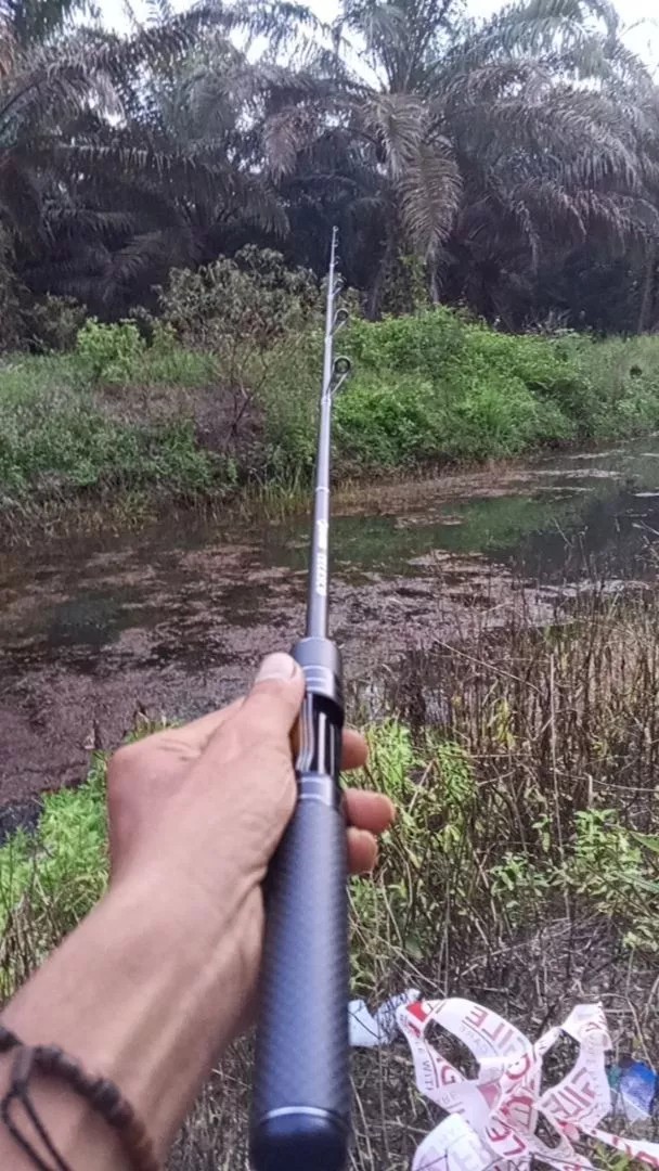 Travel Telescopic Ultralight Fishing Rod Carbon Handle Camping Trip