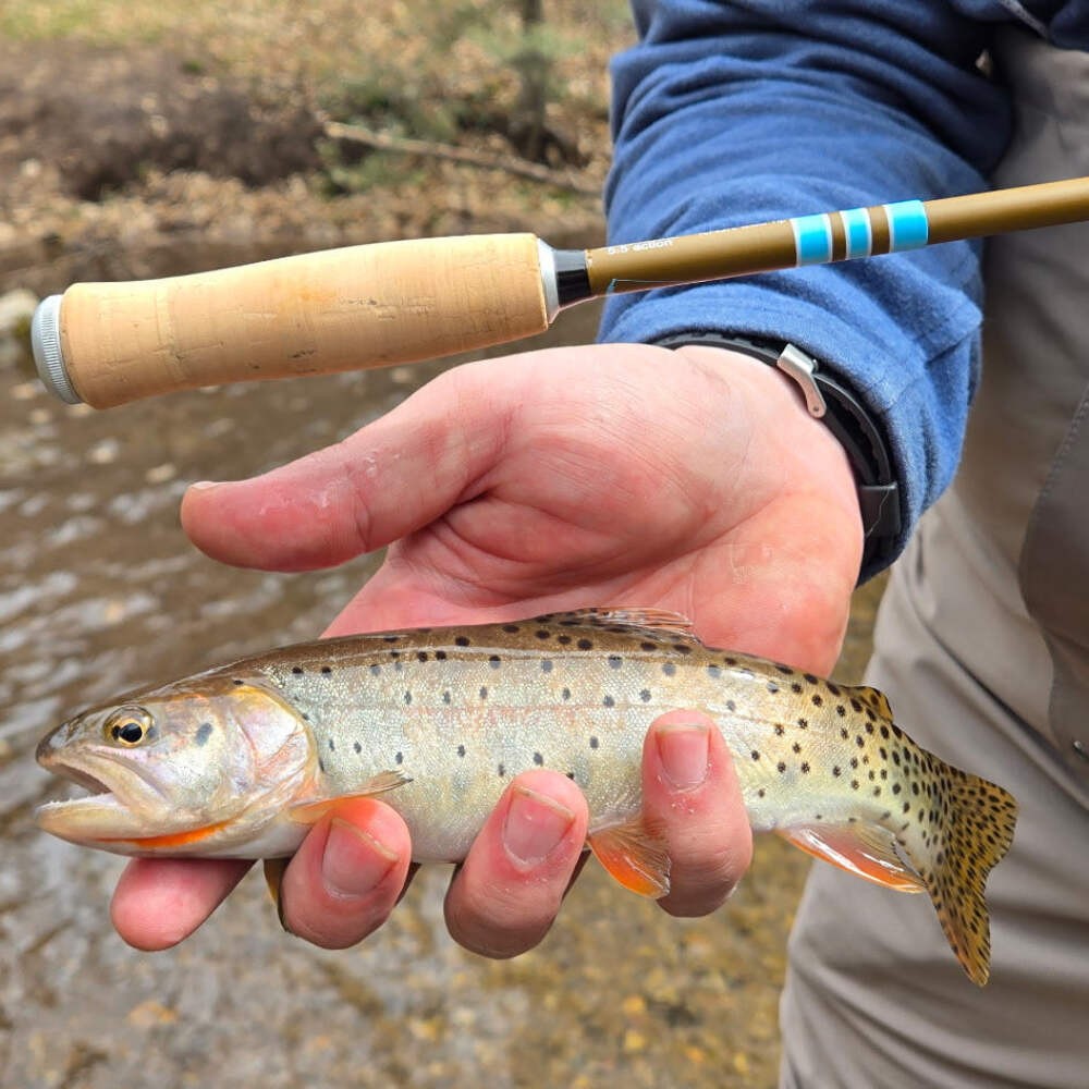 Wasatch Snub Nose IV 4-Zoom Tenkara Rod 4’0″-5’6″ Ultra-Compact w/ Rod Tube