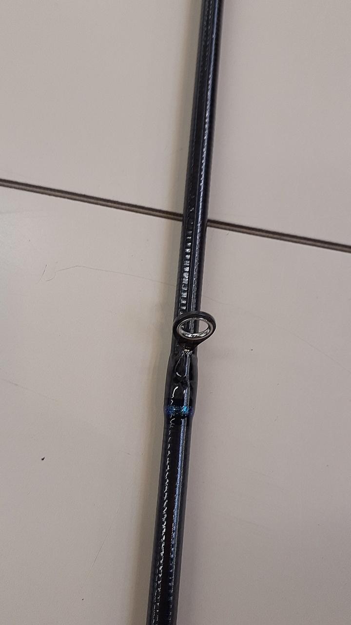 Daiwa Eging Rod 88in/8ft8in, 90g, 2-piece, with case, Fishing Equipment